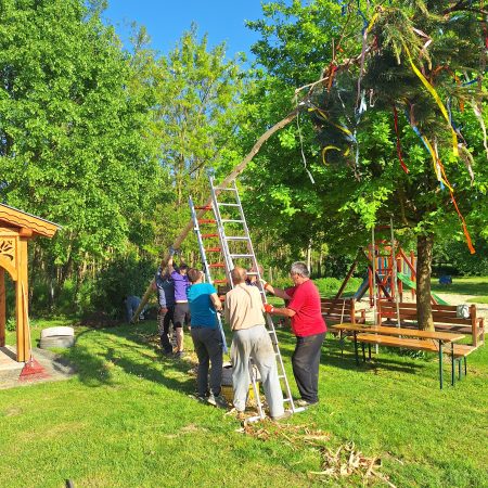 2024.04.30.|Májusfa állítás